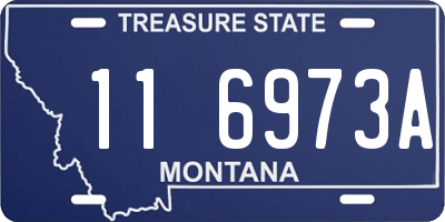 MT license plate 116973A