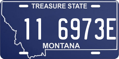 MT license plate 116973E