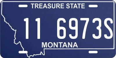 MT license plate 116973S