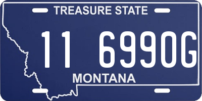 MT license plate 116990G