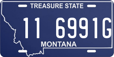 MT license plate 116991G