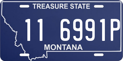 MT license plate 116991P