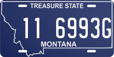 MT license plate 116993G