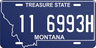 MT license plate 116993H