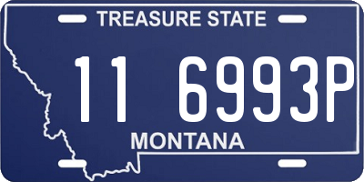 MT license plate 116993P