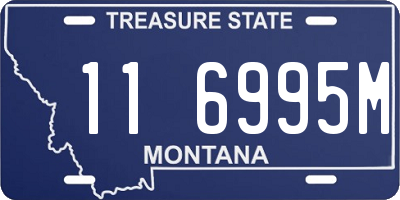 MT license plate 116995M