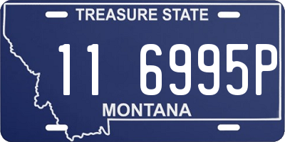 MT license plate 116995P