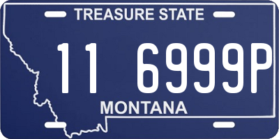 MT license plate 116999P