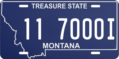MT license plate 117000I
