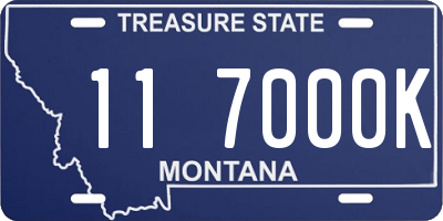 MT license plate 117000K