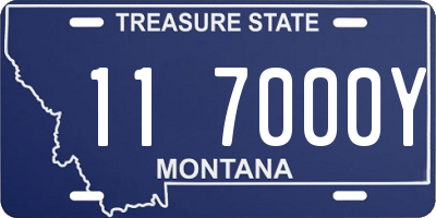 MT license plate 117000Y