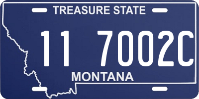 MT license plate 117002C