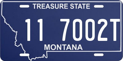 MT license plate 117002T
