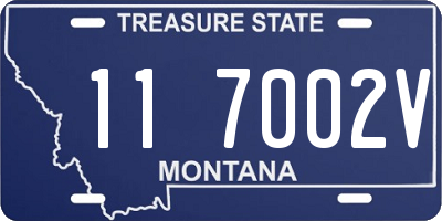 MT license plate 117002V