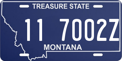 MT license plate 117002Z