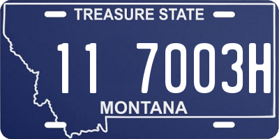 MT license plate 117003H