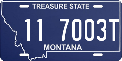 MT license plate 117003T