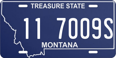 MT license plate 117009S