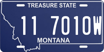 MT license plate 117010W