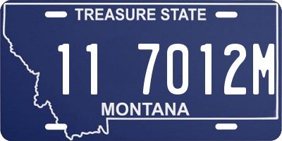 MT license plate 117012M