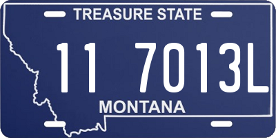 MT license plate 117013L