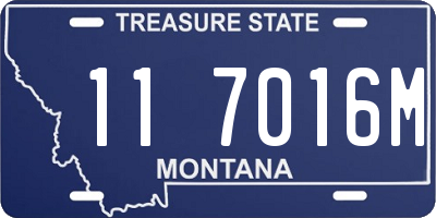 MT license plate 117016M