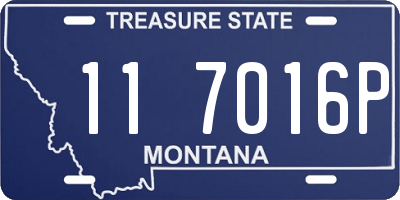 MT license plate 117016P
