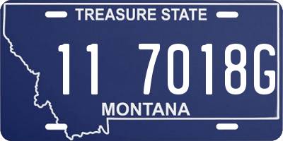 MT license plate 117018G