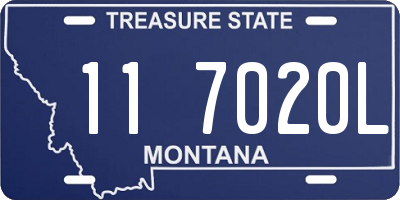 MT license plate 117020L