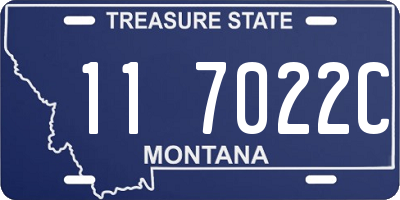 MT license plate 117022C