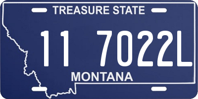 MT license plate 117022L