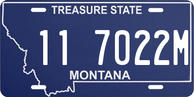 MT license plate 117022M