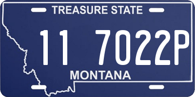 MT license plate 117022P