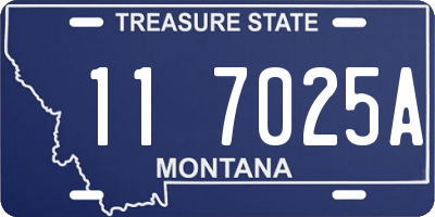 MT license plate 117025A