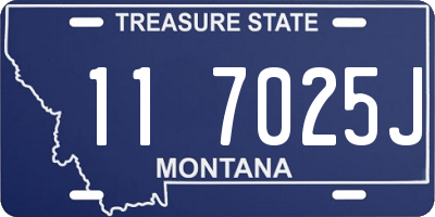 MT license plate 117025J