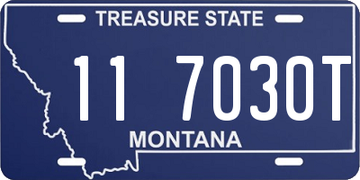 MT license plate 117030T