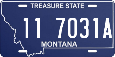 MT license plate 117031A