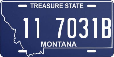 MT license plate 117031B