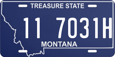 MT license plate 117031H