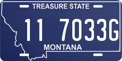 MT license plate 117033G
