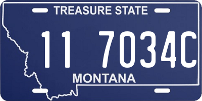 MT license plate 117034C