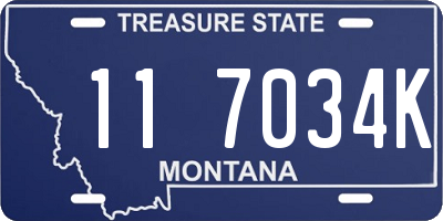 MT license plate 117034K