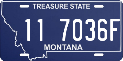 MT license plate 117036F