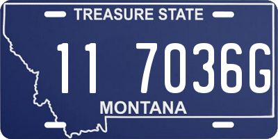 MT license plate 117036G