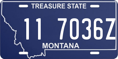 MT license plate 117036Z