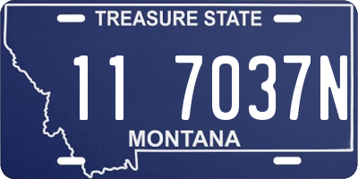 MT license plate 117037N