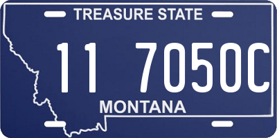 MT license plate 117050C