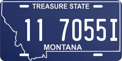 MT license plate 117055I