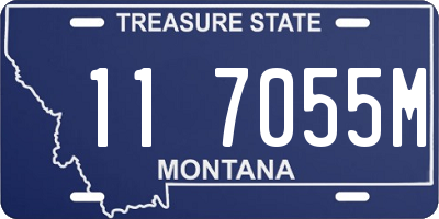 MT license plate 117055M