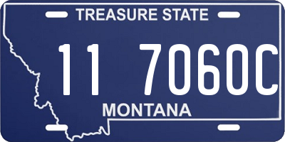 MT license plate 117060C